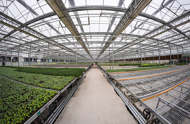 溫室大棚用鍍鋅管用什么規(guī)格的，選擇哪些鍍鋅鋼管？